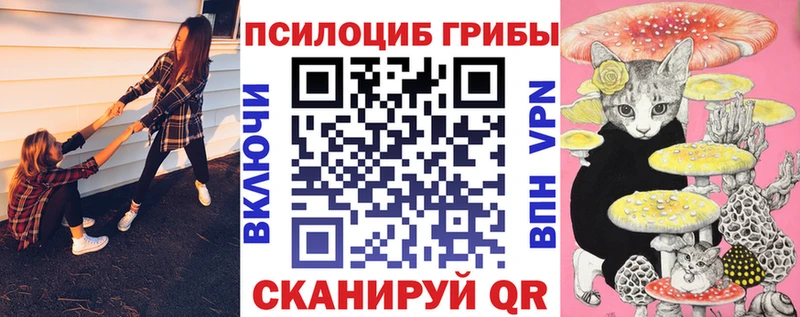 Галлюциногенные грибы Psilocybe  Красноуральск 